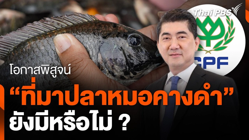 โอกาสพิสูจน์ "ที่มาปลาหมอคางดำ" ยังมีหรือไม่ ?