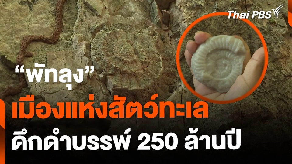 "พัทลุง" เมืองแห่งสัตว์ทะเลดึกดำบรรพ์ 250 ล้านปี