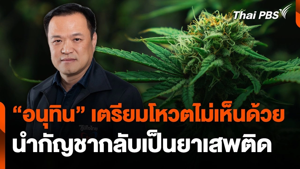 "อนุทิน" เตรียมโหวตไม่เห็นด้วยนำกัญชากลับเป็นยาเสพติด