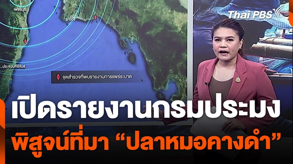 เปิดรายงานเก่ากรมประมง พิสูจน์ที่มา "ปลาหมอคางดำ"