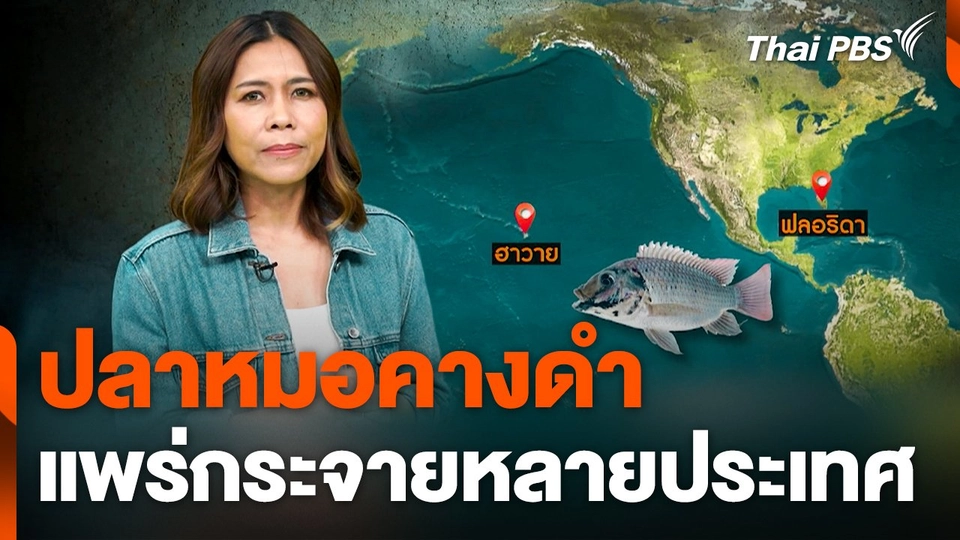 "ปลาหมอคางดำ" แพร่กระจายหลายประเทศ