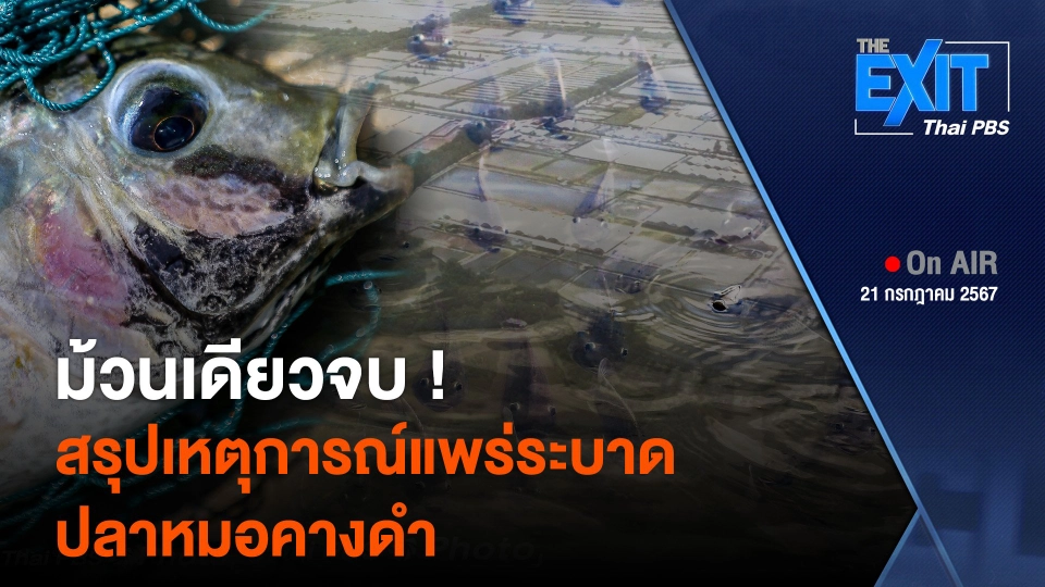 The EXIT : สรุปเหตุการณ์แพร่ระบาด "ปลาหมอคางดำ"