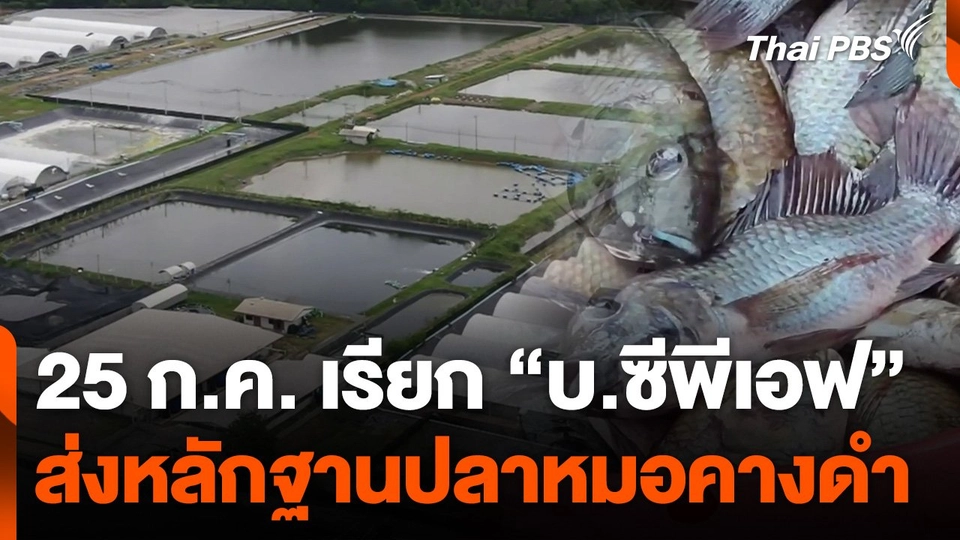 เรียก "บ.ซีพีเอฟ" ส่งหลักฐานปลาหมอคางดำพรุ่งนี้ (25 ก.ค. 67)