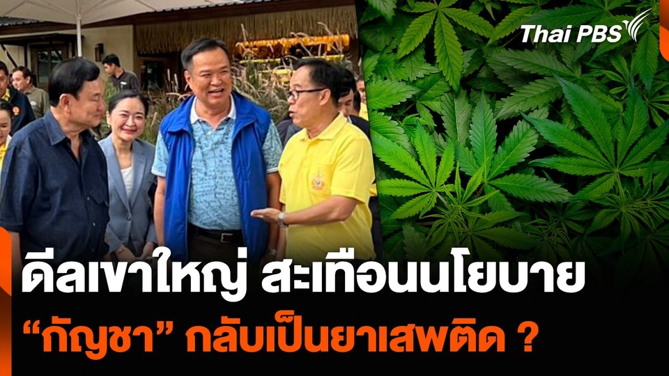 ดีลเขาใหญ่ สะเทือนนโยบาย “กัญชา” กลับเป็นยาเสพติด ?