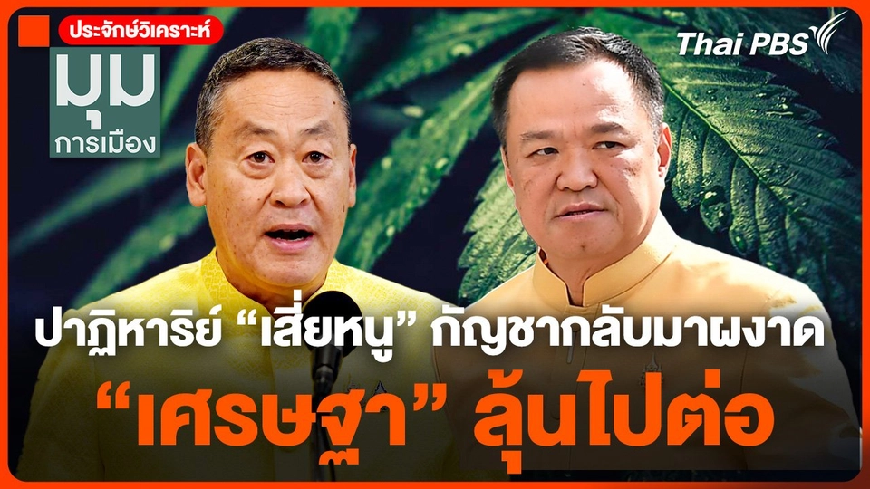 #ประจักษ์วิเคราะห์ ปาฏิหาริย์ "เสี่ยหนู" กัญชากลับมาผงาด "เศรษฐา" ลุ้นไปต่อ