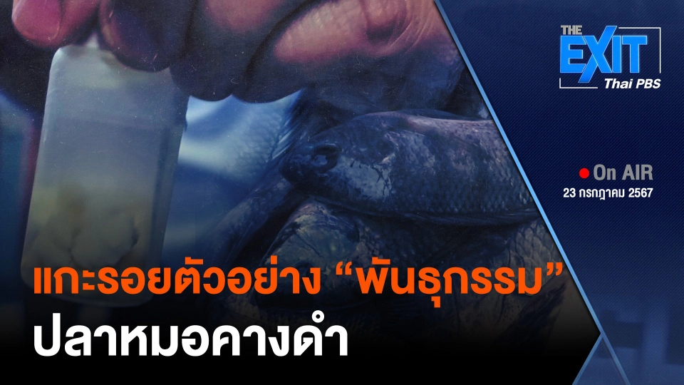 The EXIT : แกะรอยตัวอย่าง “พันธุกรรม” ปลาหมอคางดำ