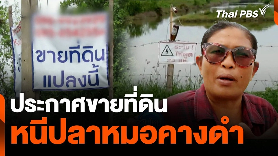 ประกาศขายที่ดิน หนีปลาหมอคางดำ