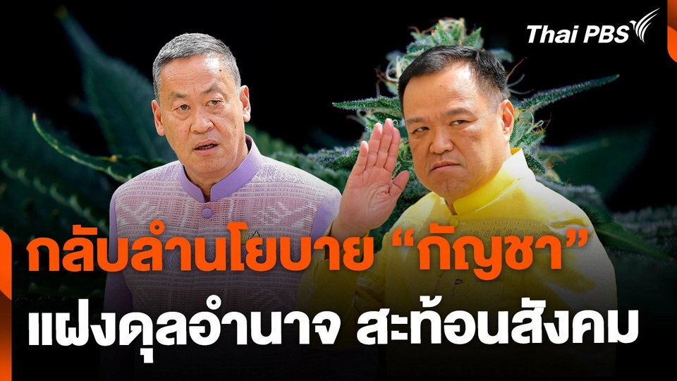 กลับลำกัญชา แฝงดุลอำนาจสะเทือนสังคม