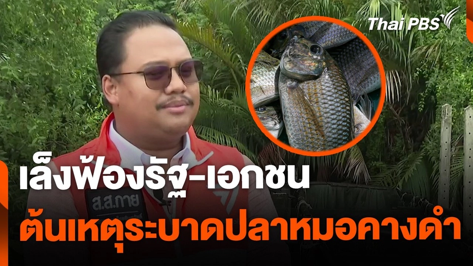 เล็งฟ้องรัฐ-เอกชน ต้นเหตุระบาดปลาหมอคางดำ