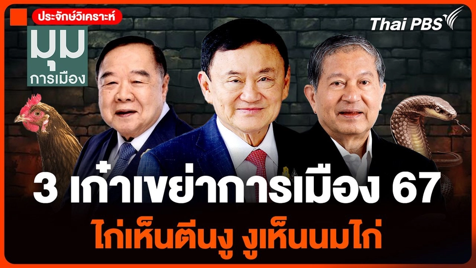 3 เก๋าเขย่าการเมือง 67 ไก่เห็นตีนงู งูเห็นนมไก่