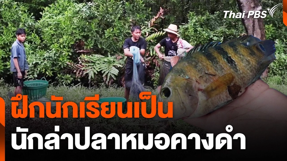 ฝึกนักเรียนเป็นนักล่า "ปลาหมอคางดำ"