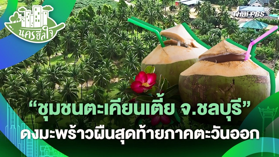 นครฮีลใจ : "ชุมชนตะเคียนเตี้ย จ.ชลบุรี" ดงมะพร้าวผืนสุดท้ายภาคตะวันออก