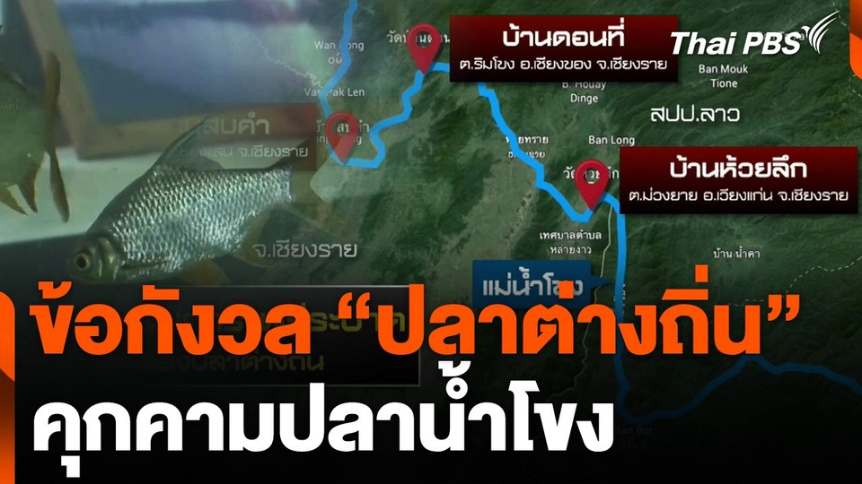 ข้อกังวลปลาต่างถิ่น คุกคามปลาน้ำโขง