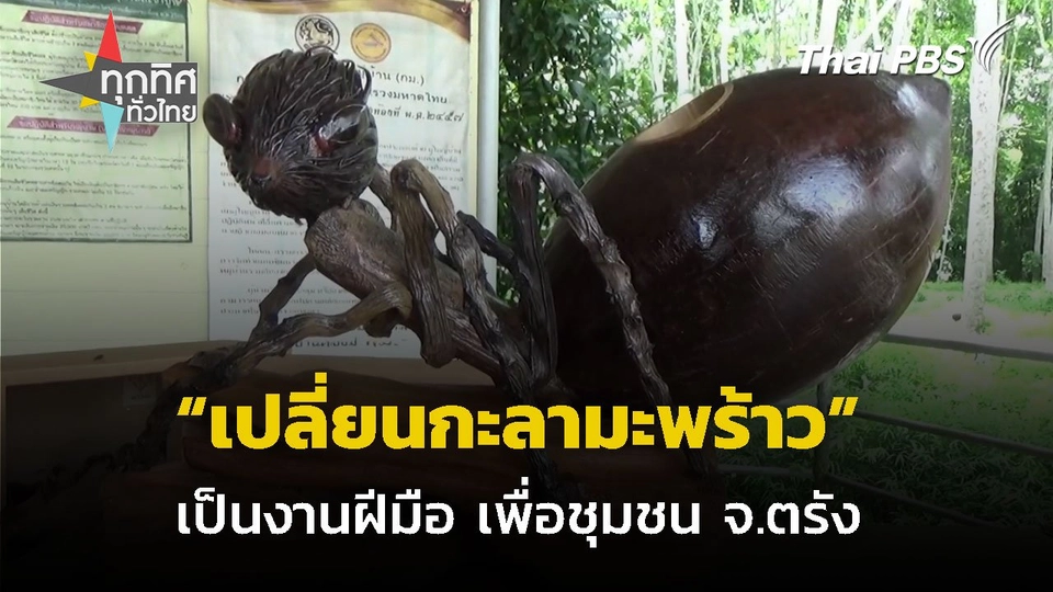 สร้างสรรค์กะลามะพร้าวเป็นงานฝีมือ จ.ตรัง