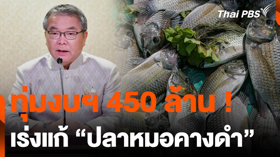 ครม.ทุ่มงบฯ 450 ล้าน ! เร่งแก้ "ปลาหมอคางดำ"