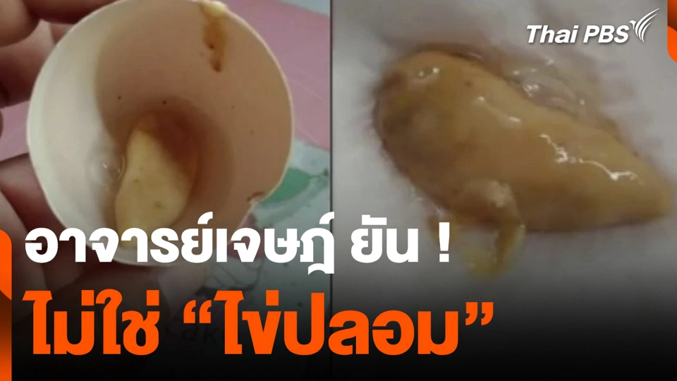 อาจารย์เจษฎ์ ยัน ! ไม่ใช่ "ไข่ปลอม" น่าจะเป็น "lash egg"