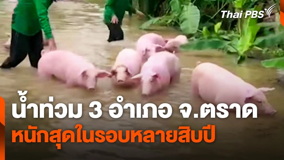 น้ำท่วม 3 อำเภอ จ.ตราด หนักสุดในรอบหลายสิบปี