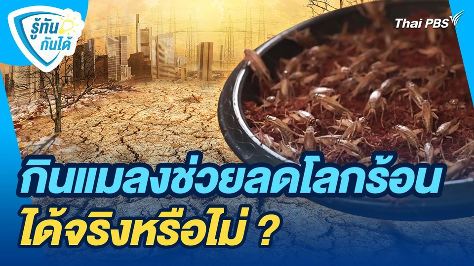 รู้ทันกันได้ : กินแมลงช่วยลดโลกร้อนได้จริงหรือไม่ ?