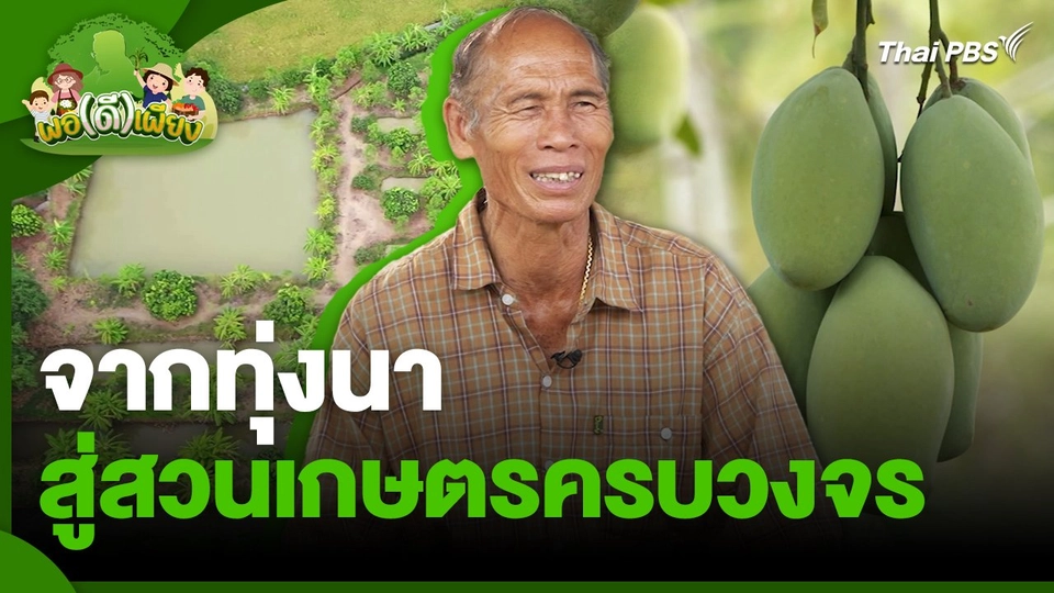 พอดีพอเพียง : จากทุ่งนาสู่สวนเกษตรครบวงจร