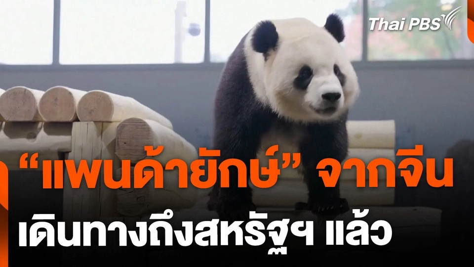 "แพนด้ายักษ์"  จากจีนเดินทางถึงสหรัฐฯ แล้ว