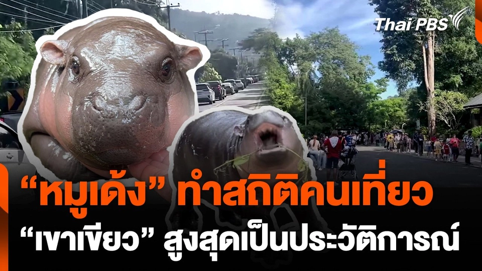 "หมูเด้ง" ทำสถิติคนเที่ยว "เขาเขียว" สูงสุดเป็นประวัติการณ์