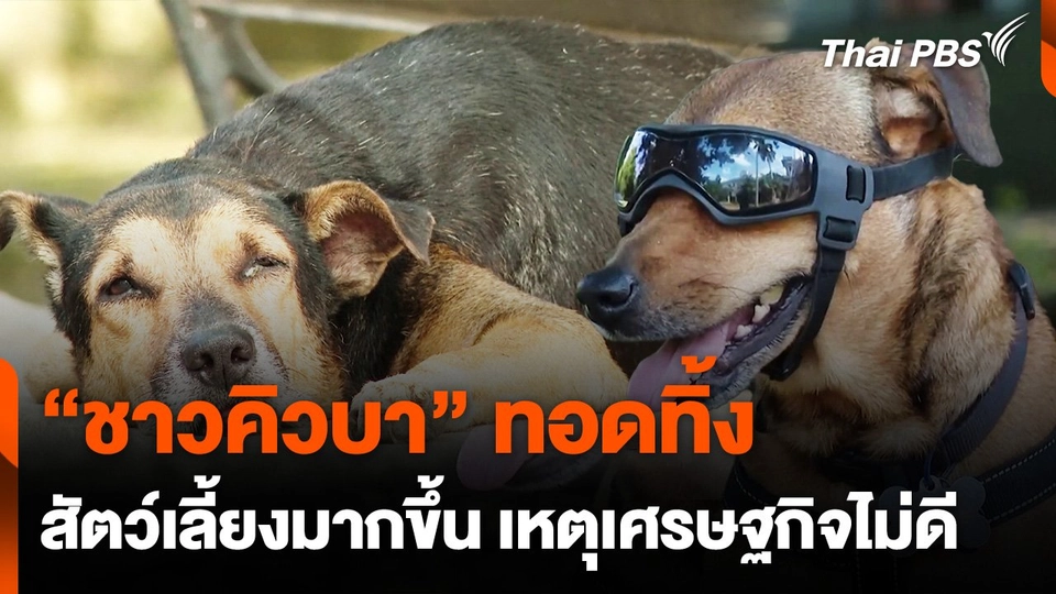 ชาวคิวบาทอดทิ้งสัตว์เลี้ยงมากขึ้น เพราะเศรษฐกิจไม่ดี