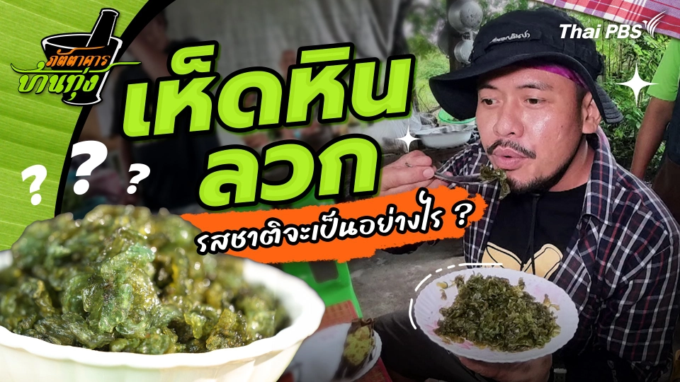 "เห็ดหินลวก" รสชาติจะเป็นอย่างไร ?