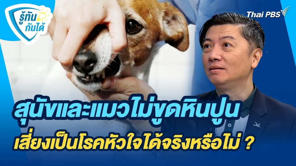 รู้ทันกันได้ : สุนัขและแมวไม่ขูดหินปูนเสี่ยงเป็นโรคหัวใจได้จริงหรือไม่ ?