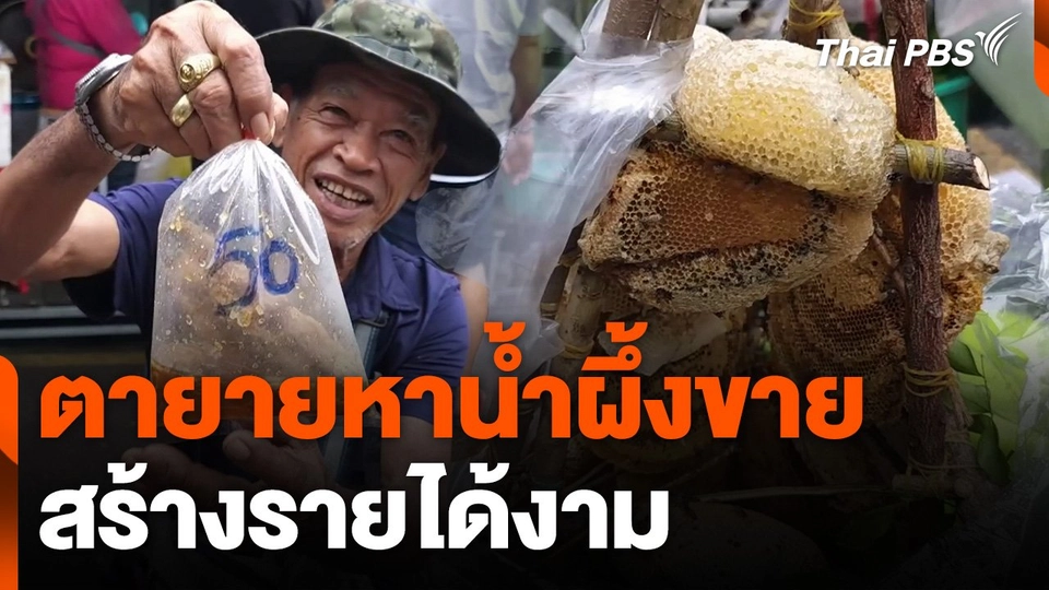 ตายายหาน้ำผึ้งขาย สร้างรายได้งาม