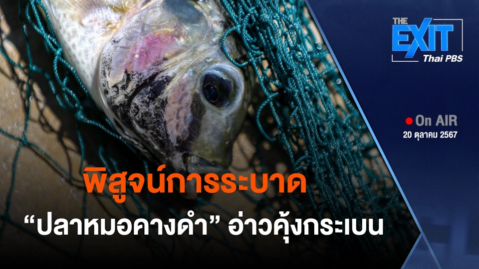 The EXIT: พิสูจน์การระบาด "ปลาหมอคางดำ" อ่าวคุ้งกระเบน