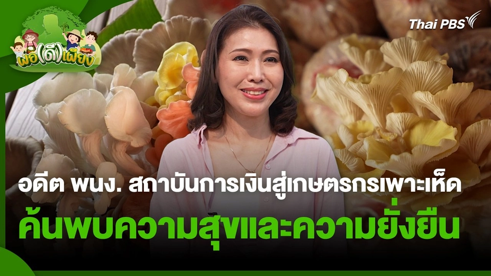 พอดีพอเพียง : อดีตพนักงานสถาบันการเงินสู่เกษตรกรเพาะเห็ด ค้นพบความสุขและความยั่งยืน