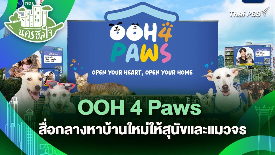 นครฮีลใจ : OOH 4 Paws สื่อกลางหาบ้านใหม่ให้สุนัขและแมวจร