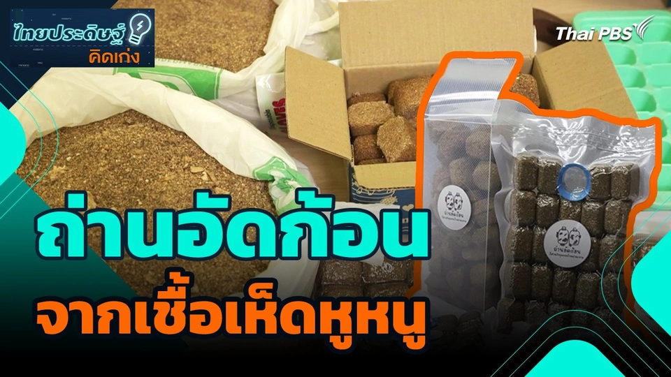 ไทยประดิษฐ์คิดเก่ง : ถ่านอัดก้อนจากเชื้อเห็ดหูหนู