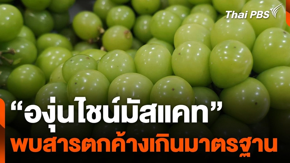 พบสารตกค้างใน "องุ่นไชน์มัสแคท" เกินค่ามาตรฐาน
