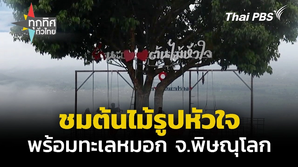 ชมต้นไม้รูปหัวใจพร้อมทะเลหมอก จ.พิษณุโลก | ทุกทิศทั่วไทย | 24 ต.ค. 67