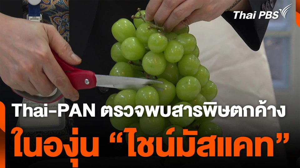 Thai-PAN ตรวจพบสารพิษตกค้าง ในองุ่น “ไชน์มัสแคท”