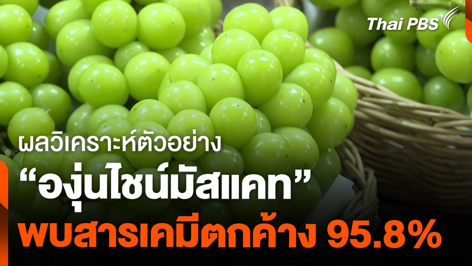 ผลวิเคราะห์ตัวอย่าง "องุ่นไชน์มัสแคท" พบสารเคมีตกค้าง 95.8%