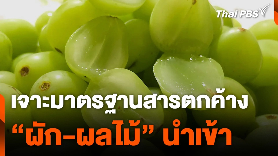เจาะมาตรฐานสารตกค้าง "ผัก-ผลไม้" นำเข้า