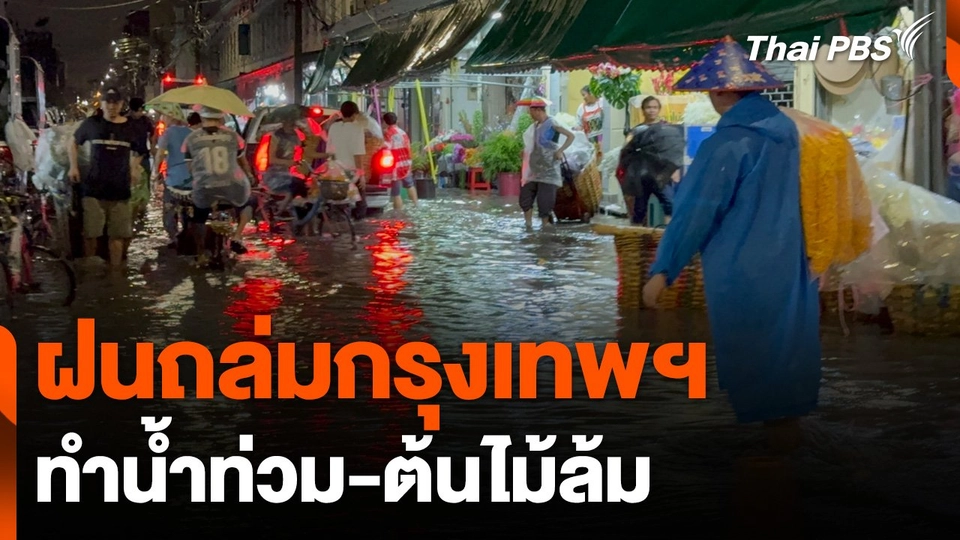 ฝนถล่มกรุงเทพฯ ทำน้ำท่วม-ต้นไม้ล้ม