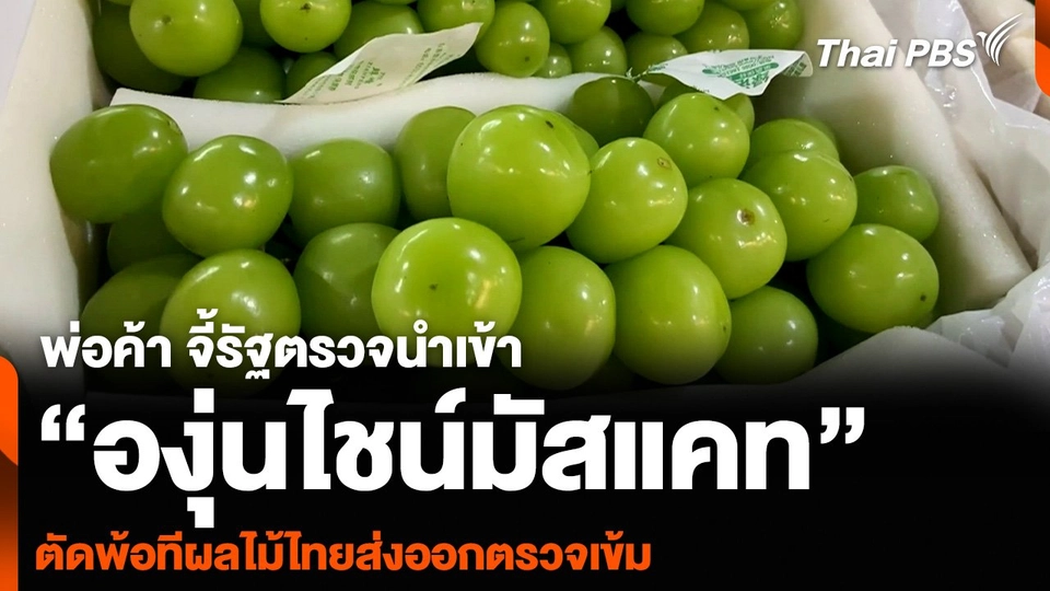พ่อค้า จี้รัฐตรวจนำเข้า “องุ่นไชน์มัสแคท” ตัดพ้อทีผลไม้ไทยส่งออกตรวจเข้ม