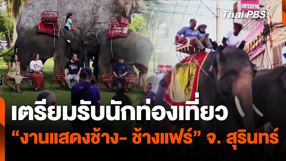 สุุรินทร์ "เตรียมงานแสดงช้าง- ช้างแฟร์" 14-25 พ.ย.นี้