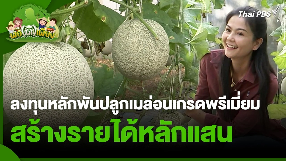 พอดีพอเพียง : ลงทุนหลักพันปลูกเมล่อนเกรดพรีเมี่ยม สร้างรายได้หลักแสน
