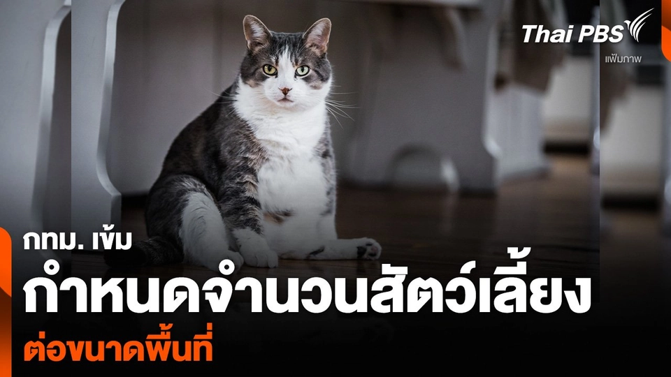 กทม. เข้มกำหนดจำนวนสัตว์เลี้ยง ต่อขนาดพื้นที่