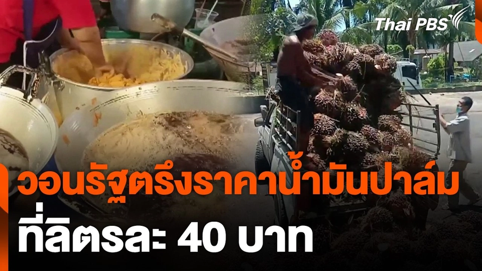 วอนรัฐตรึงราคาน้ำมันปาล์ม ที่ลิตรละ 40 บาท
