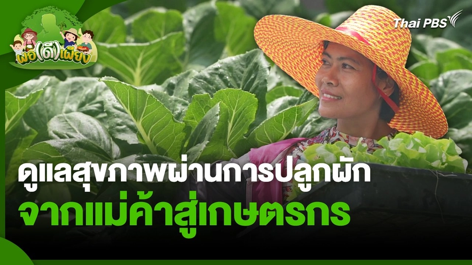 พอดีพอเพียง : ดูแลสุขภาพผ่านการปลูกผัก จากแม่ค้าสู่เกษตรกร