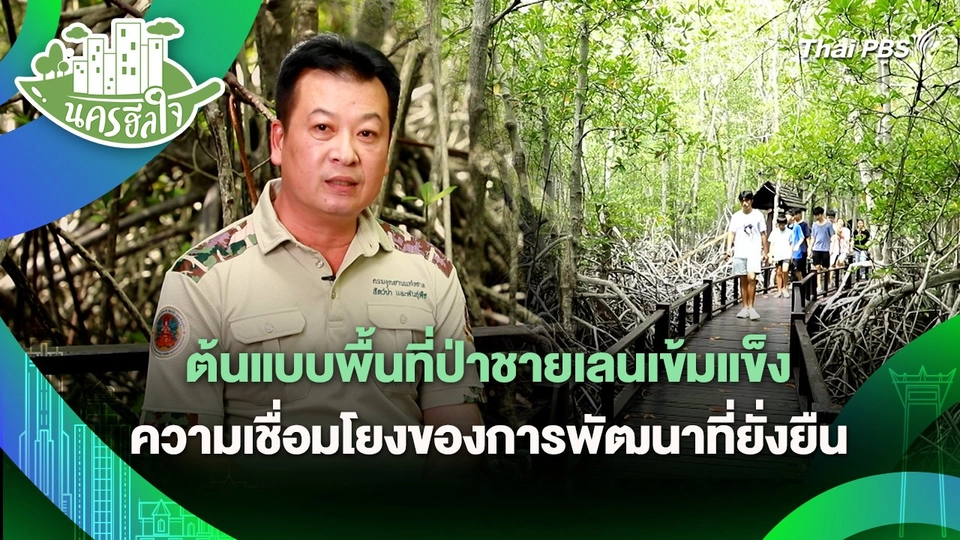 นครฮีลใจ : ต้นแบบพื้นที่ป่าชายเลนเข้มแข็งแห่งปราณบุรี