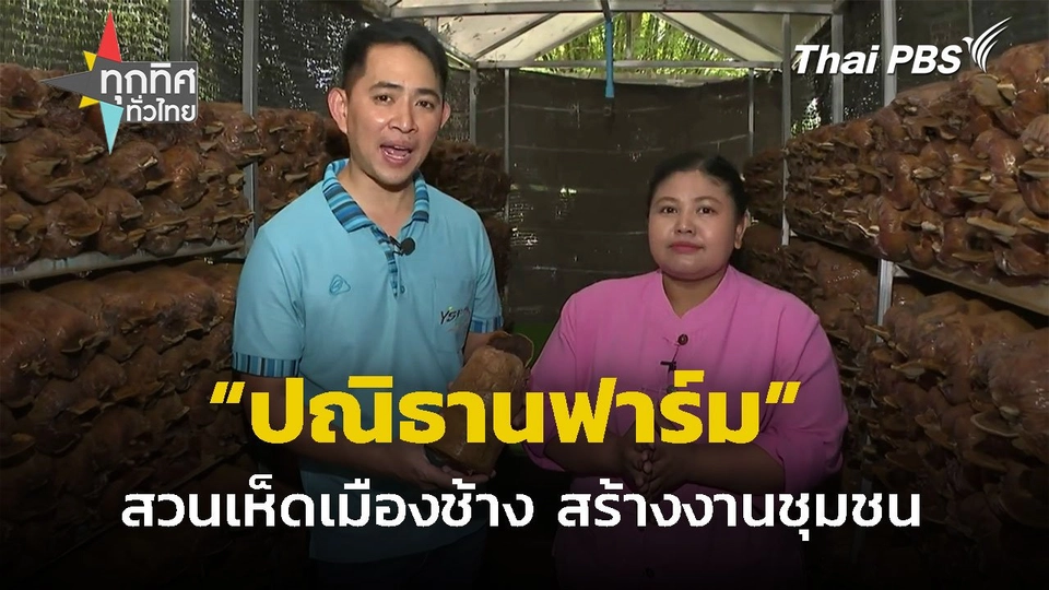 "ปณิธานฟาร์ม" สวนเห็ดเมืองช้าง สร้างงานชุมชน