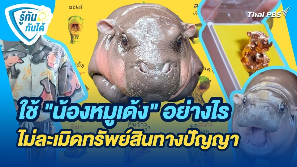 รู้ทันกันได้ : ใช้ "น้องหมูเด้ง" อย่างไร ไม่ละเมิดทรัพย์สินทางปัญญา