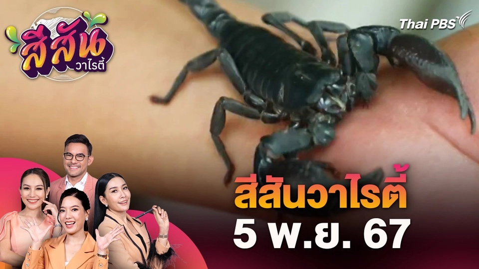 สีสันวาไรตี้ (5 พ.ย. 67)