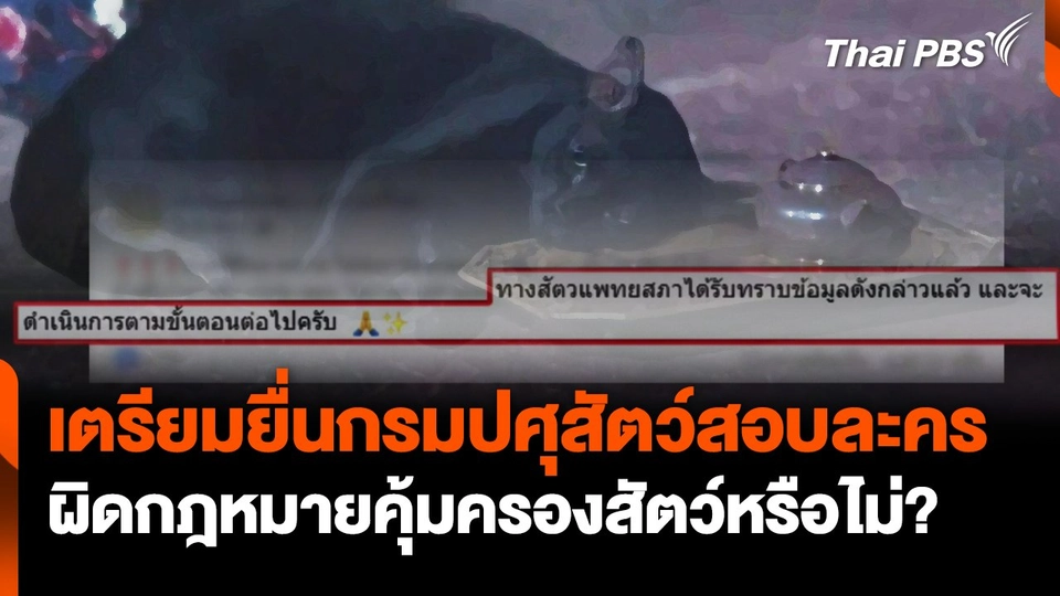 เตรียมยื่นกรมปศุสัตว์สอบละคร ผิดกฎหมายคุ้มครองสัตว์หรือไม่?
